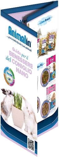 Download Wellness Guide for Rabbit