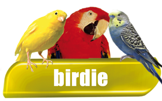 Birdie - Products for Birds