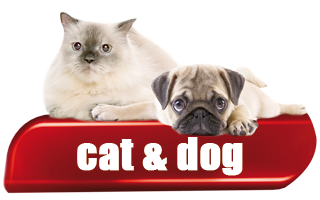 Cat & Dog - Products for Cat and Dog