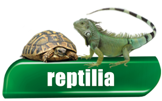 Reptilia - Prodotti per Rettili
