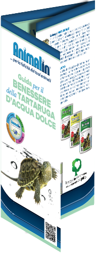 Scarica Guida Benessere Tartaruga