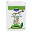 SHAMPOO COADIUVANTE ANTIP. CON TEA-TREE OIL 10 LT (Tanica)