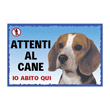 CARTEL BEAGLE PRINTED IN PLASTIC