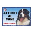 CARTEL BERNESE MOUNTAIN DOG PRINTED IN PLASTIC