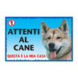 CARTEL AKITA INU PRINTED IN PLASTIC