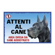 CARTEL GREAT DANE BLACK