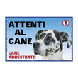 CARTEL GREAT DANE HARLEQUIN PRINTED IN PLASTIC