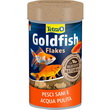 TETRA GOLDFISH